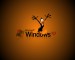 Windows 1.