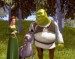 Fiona+oslík+Shrek